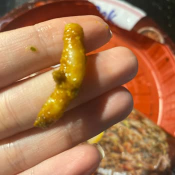 Dondurulmuş Lahmacunda Sert Cisim Şoku