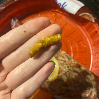 Dondurulmuş Lahmacunda Sert Cisim Şoku