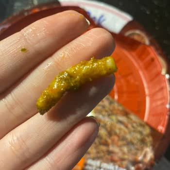 Dondurulmuş Lahmacunda Sert Cisim Şoku