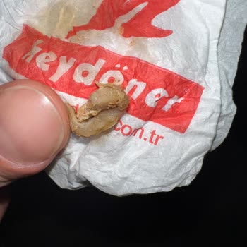 Hijyen Sorunlarıyla Dolu Bir Döner Deneyimi
