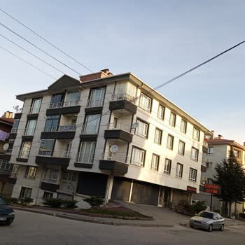 Tehlike Saçan Direkler Ve İlgisiz Hizmet: TTNET Kabusumuz