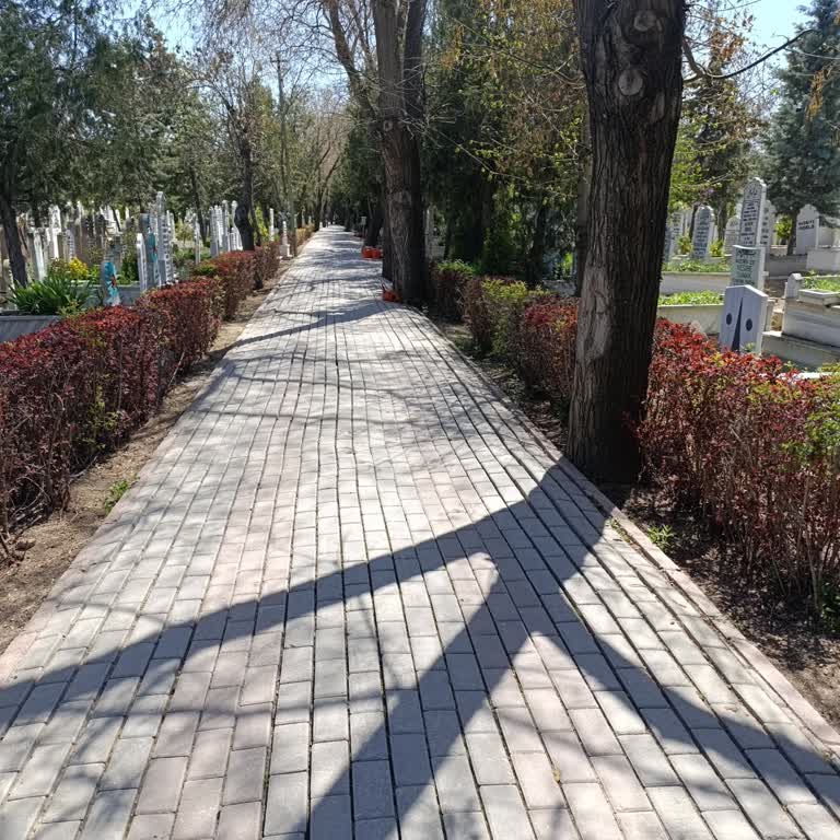 Mezarlıkta Kaldırılan Banklar İçin Geri İade Talebi