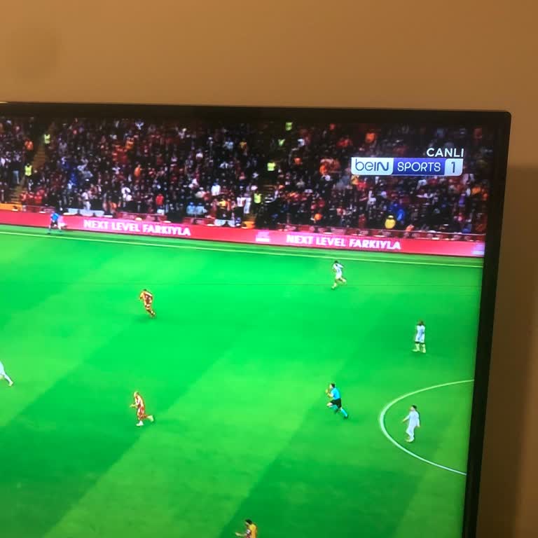 Garanti Biter Bitmez Ekranda Yatay Çizgi Sorunu