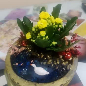 Gizli Gönderici Krizi: Özel Hayata Müdahale