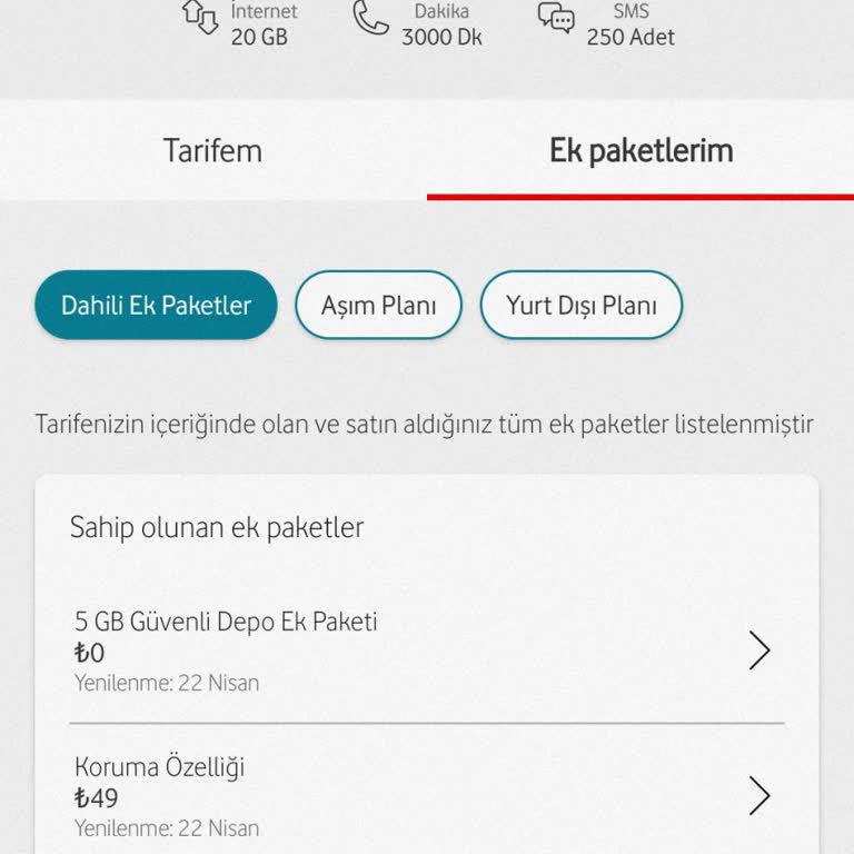Satın Alınan Koruma Paketi Sistemde Görünmüyor