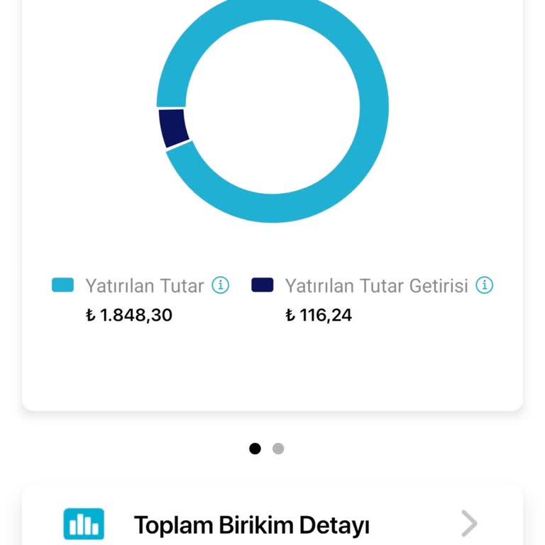 Türkiye Hayat Emeklilik Devlet Katkısı Eksikliği ve Müşteri Hizmetleri Sorunu