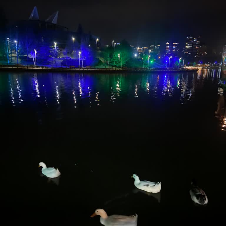 Soğuk Yemek Ve İlgisiz Hizmet Mağduriyeti