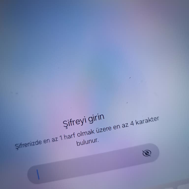Samsung Galaxy A9+ Tablet Şifre Sorunu