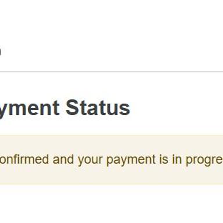 VFS Global Vize Randevusu Ödeme Sorunu
