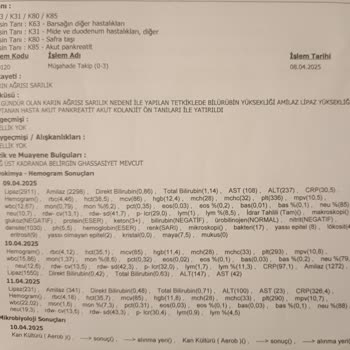 Yanlış Tedavi Ve Para Odaklı Yaklaşım: İnsan Sağlığı Hiçe Sayılıyor