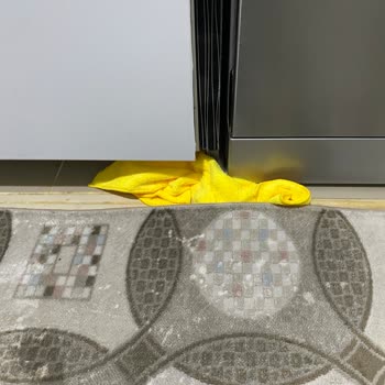 Arçelik Returned My Dishwasher Unfixed, It Leaked Again and Damaged My Carpet