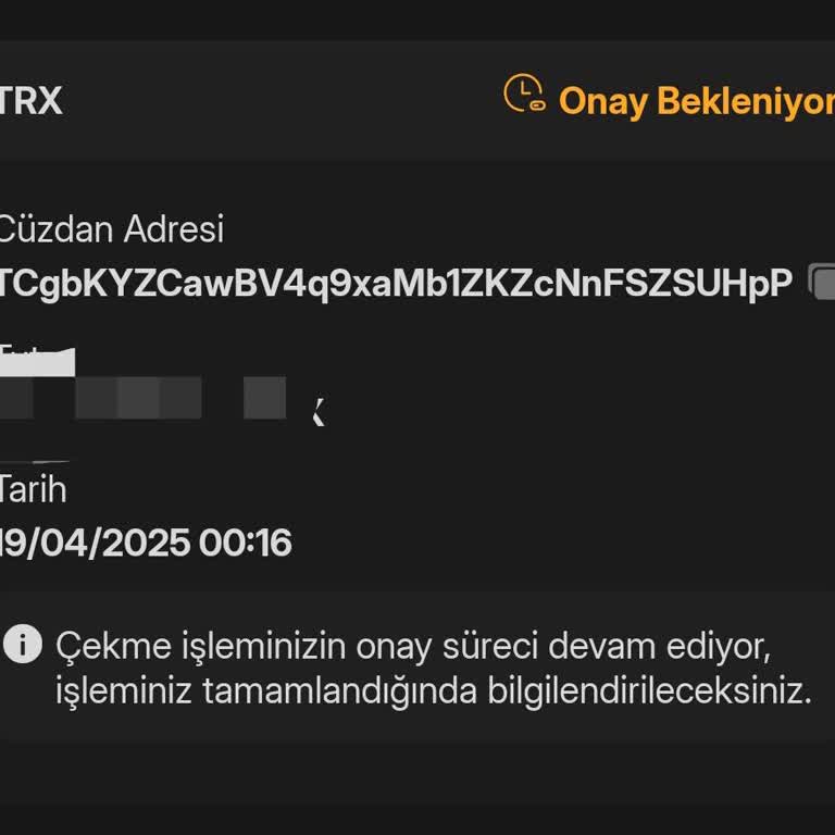 Bitlo'da Onay Bekleyen İşlemler Ve Müşteri Hizmetleri Sorunu