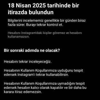 Instagram Hesabım İncelemeye Alındı, Yardım Bekliyorum!