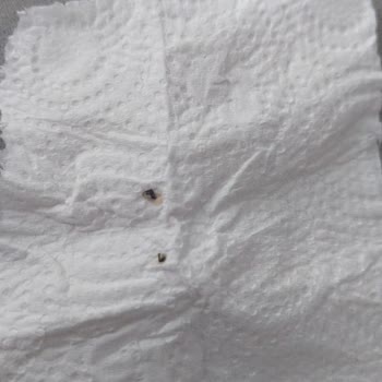 Ekmekteki Şok Edici Buluntu Ve Onur Market'in Sessizliği!