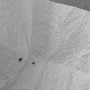 Ekmekteki Şok Edici Buluntu Ve Onur Market'in Sessizliği!