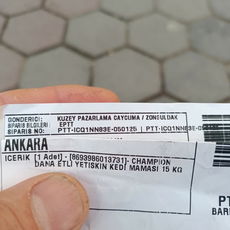 Kediler İçin Aldığım Mama Beğenilmedi