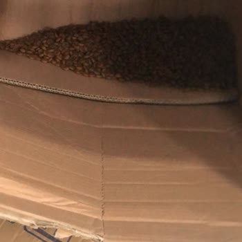 Patlak Paketler Ve Sıfır Müşteri Memnuniyeti