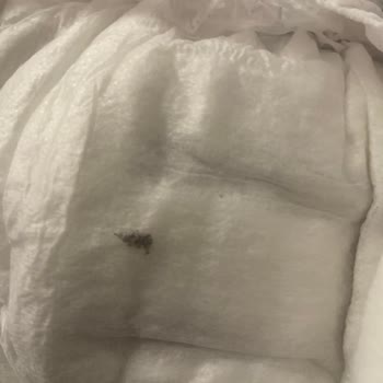 Bebek Bezinde Böcek Şoku: Hijyen Skandalı!