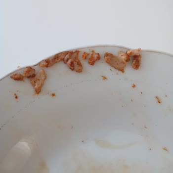 Kıymada Sinir Ve Kemik Parçaları Sorunu