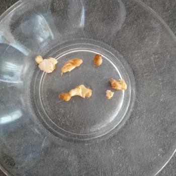 Kıymada Sinir Ve Kemik Parçaları Sorunu