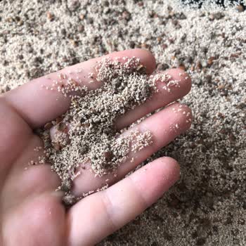 Harput Dibek Kahvesinde Tuhaf Kabuklar