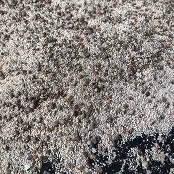 Harput Dibek Kahvesinde Tuhaf Kabuklar