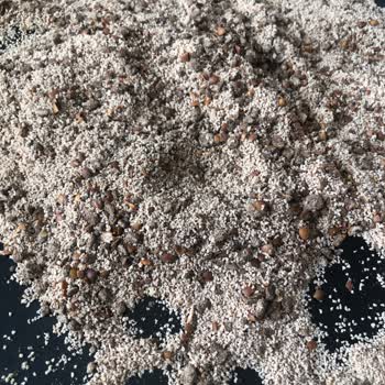 Harput Dibek Kahvesinde Tuhaf Kabuklar