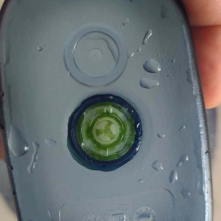 Brita Sürahisinde Yosunlaşma Sorunu!