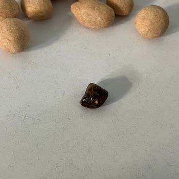 Çerezya Çıtır Leblebi İçerisinden Taş Çıkması