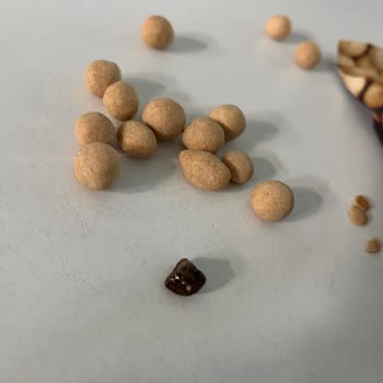 Çerezya Çıtır Leblebi İçerisinden Taş Çıkması