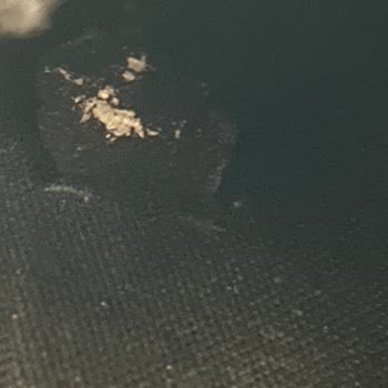 Boyner'den Alınan Botun Garanti Sürecinde Hayal Kırıklığı