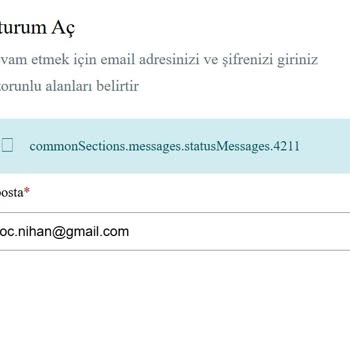 VFS Fransa Randevu Sistemi Karmaşası