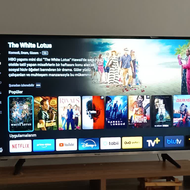 Regal TV Güncellemesi Sonrası Performans Problemleri