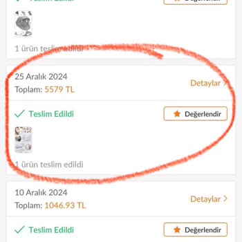 Elektrikli Beşikte Güvenlik Ve Konfor Sorunu