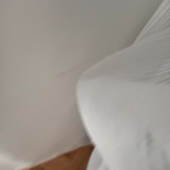 Leke Sorunu Ve Kaba Üslup: Müşteri Memnuniyetsizliği