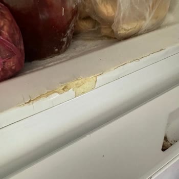 Vestel Buzdolabında Çürüme Ve Değişim Sorunu