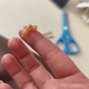 Maydonoz Döner Yemek Siparişimden Çıkan Kıl Şoku