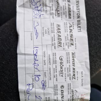 Uzayan Yolculuk Ve Sıcak Araç Sorunu