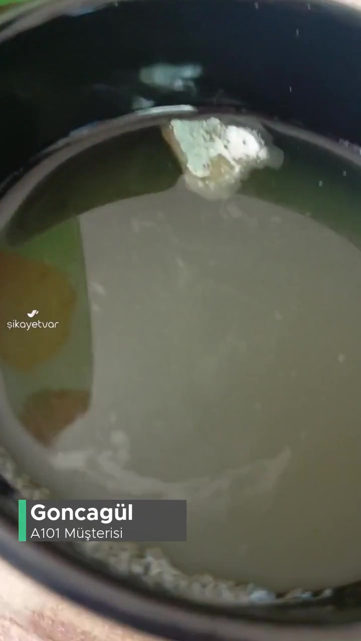 A101 Dooy Marka İçecek İçinden Küf Çıktı! videonun kapak resmi