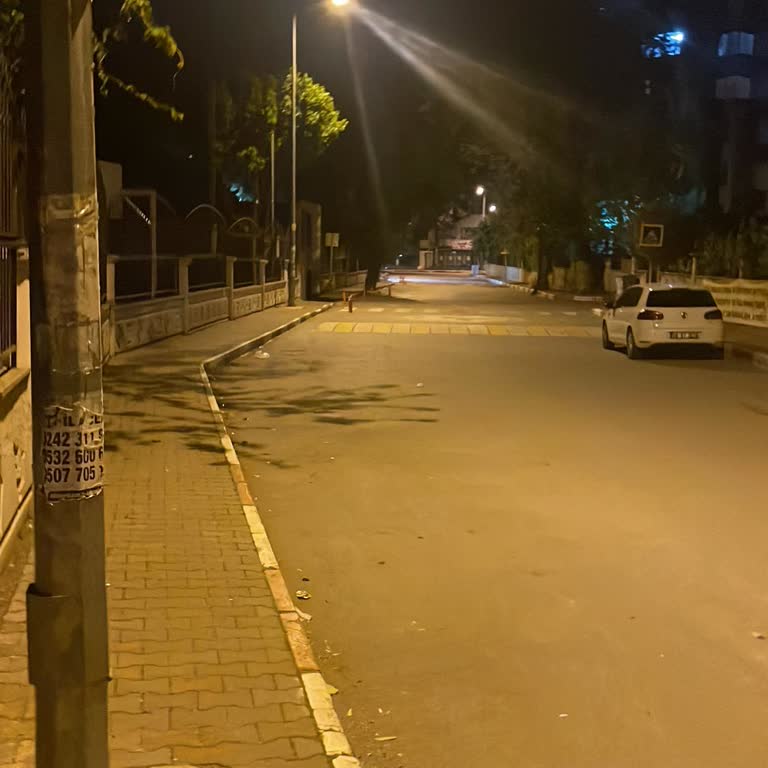 Gece Boyunca Çalan Scooter Alarmı