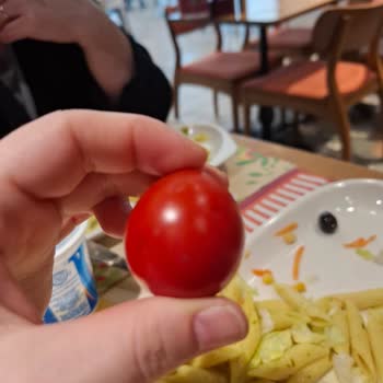 Rize'de Tavuk Dünyası Hijyen Sorunu