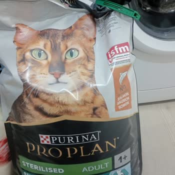 Sahte Kedi Mamasıyla Tehlikeye Atılan Can Sağlığı