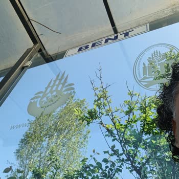 İETT Hatlarının Güzergah Sorunu Ve Çözüm Önerisi