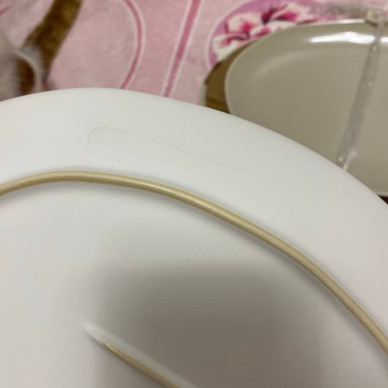 Karaca'dan Aldığım Yemek Takımında Süregelen Sorunlar Ve Çözümsüzlük