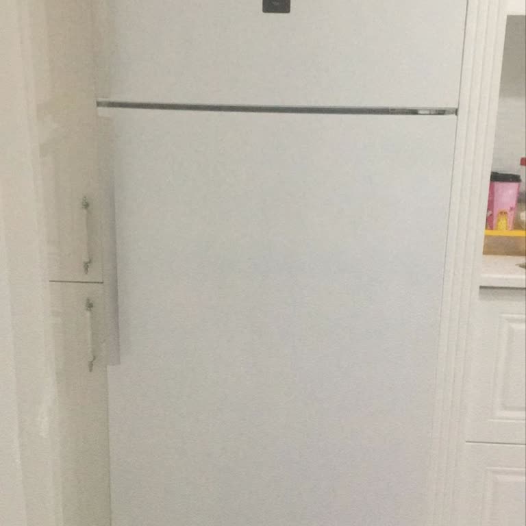 Profilo Refrigerator Stopped Cooling - All My Medicines&Food Were Wasted