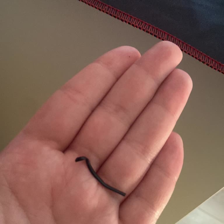 Satın Aldığımız Hizmetin Karşılığı Verilmedi: Yanlış Kurulum Ve Kontrol Eksikliği