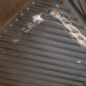 Kusurlu Ürün Ve İlgisizlik: Tüketiciyi Mağdur Eden Ticari Tutum