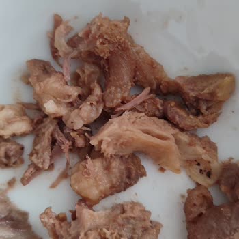 Torku Dana Kavurma: Yağ Ve Kıkırdak Sorunu