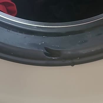 Bosch Çamaşır Makinesi: Su Sızdırma Ve Gürültü Sorunu