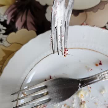 Tatlıcıda Karşılaştığımız Şaşırtıcı Durum